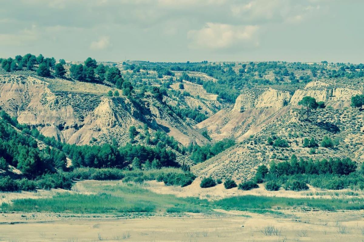 Cortijo Paraiso Charcon Higuera ภายนอก รูปภาพ